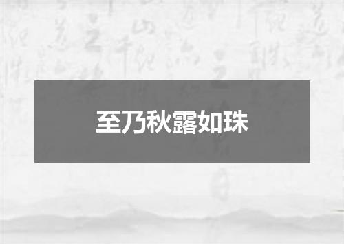 至乃秋露如珠