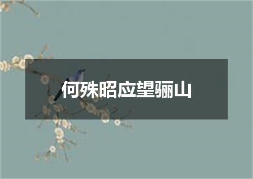 何殊昭应望骊山