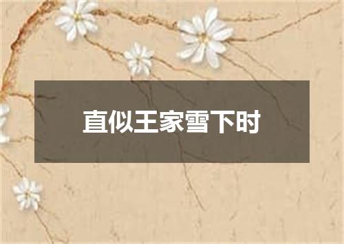 直似王家雪下时