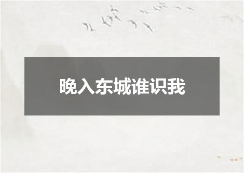 晚入东城谁识我