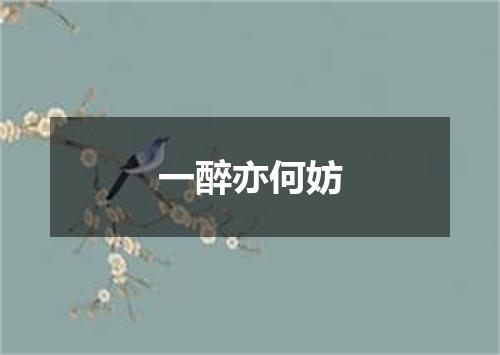 一醉亦何妨