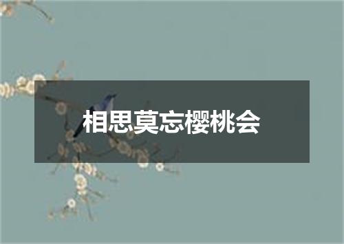 相思莫忘樱桃会