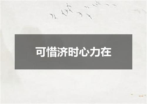 可惜济时心力在