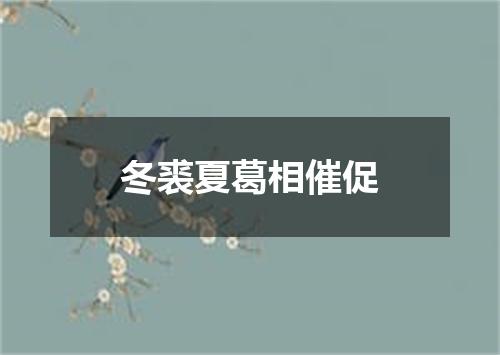 冬裘夏葛相催促