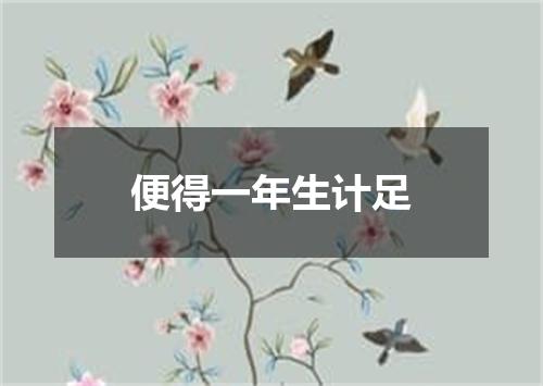 便得一年生计足