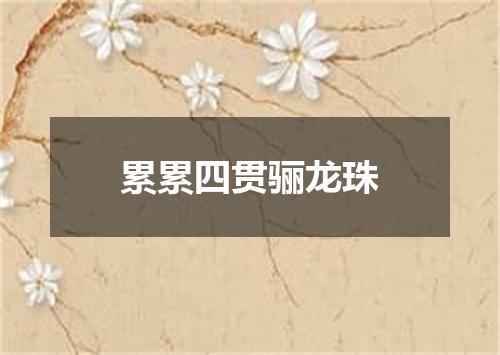 累累四贯骊龙珠