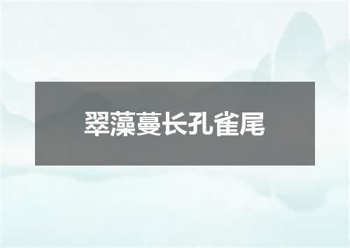 翠藻蔓长孔雀尾