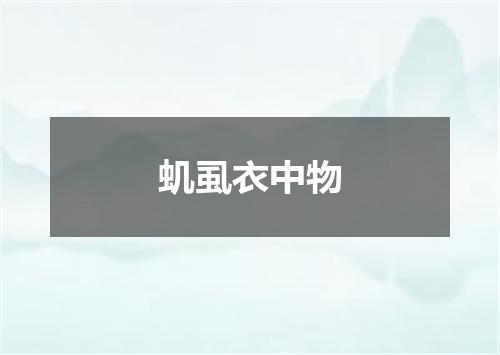虮虱衣中物