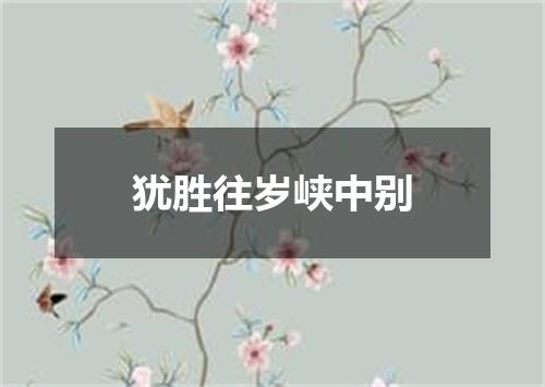 犹胜往岁峡中别