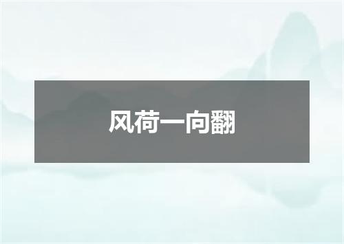 风荷一向翻