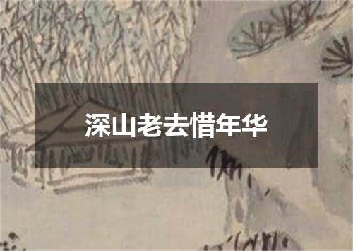 深山老去惜年华