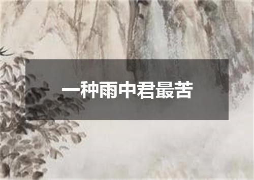 一种雨中君最苦