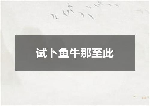 试卜鱼牛那至此