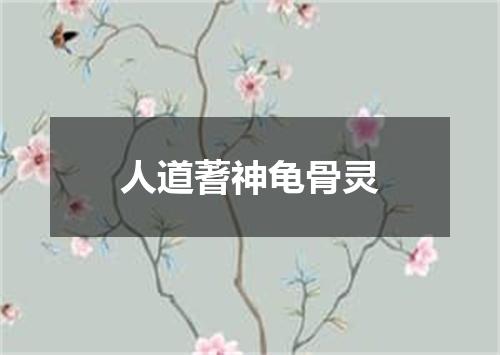 人道蓍神龟骨灵