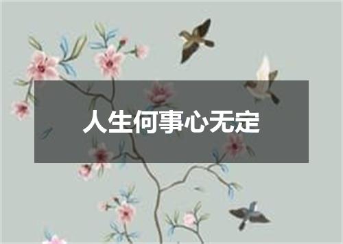 人生何事心无定