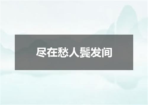 尽在愁人鬓发间