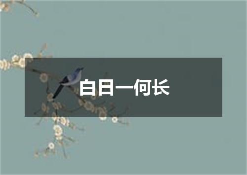白日一何长