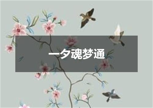 一夕魂梦通
