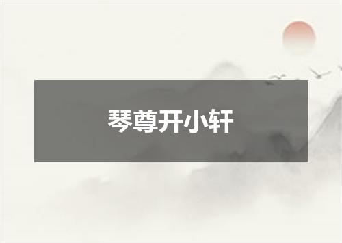 琴尊开小轩