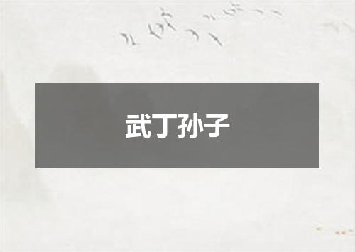 武丁孙子