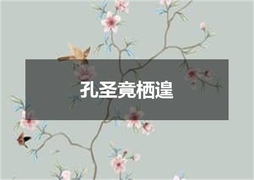 孔圣竟栖遑
