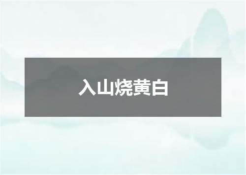 入山烧黄白
