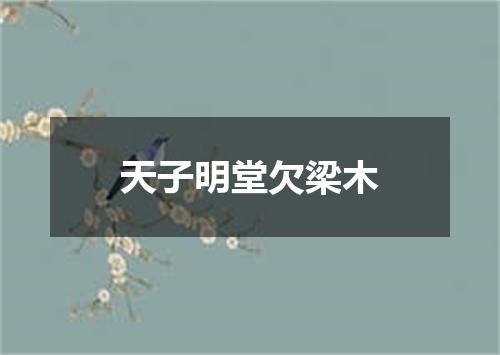 天子明堂欠梁木