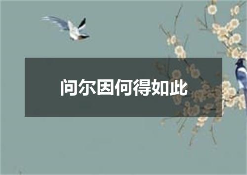 问尔因何得如此
