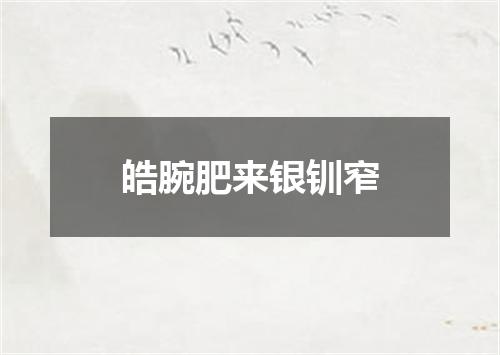 皓腕肥来银钏窄