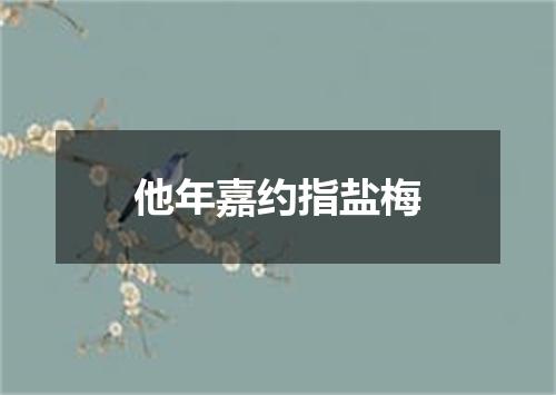 他年嘉约指盐梅