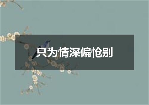 只为情深偏怆别