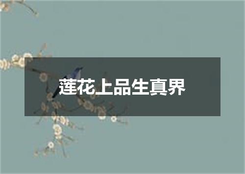 莲花上品生真界