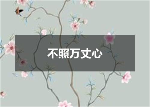 不照万丈心