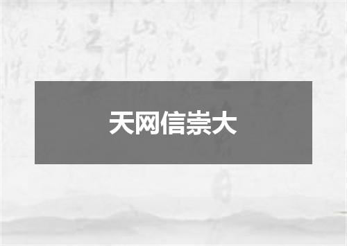 天网信崇大