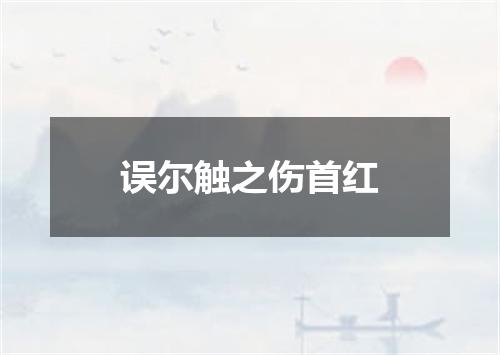 误尔触之伤首红