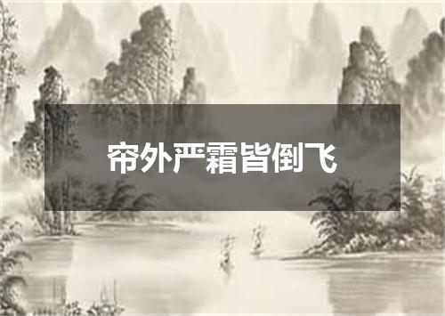 帘外严霜皆倒飞