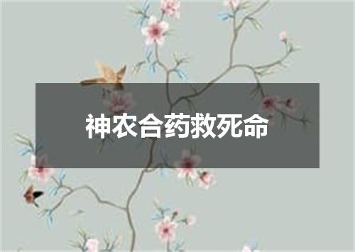 神农合药救死命