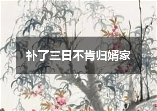 补了三日不肯归婿家