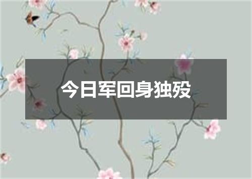 今日军回身独殁