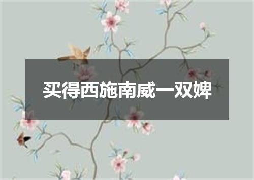 买得西施南威一双婢