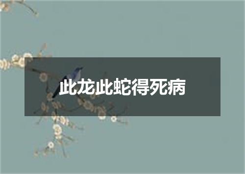 此龙此蛇得死病