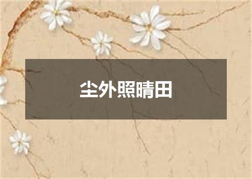 尘外照晴田