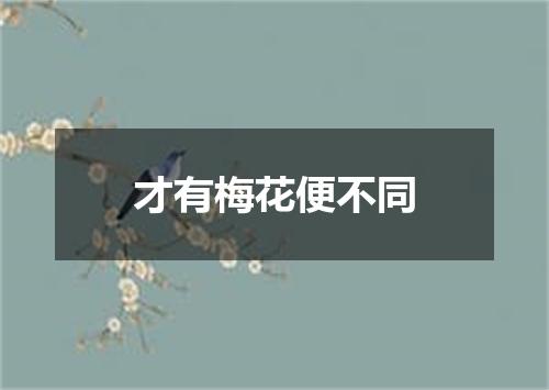 才有梅花便不同
