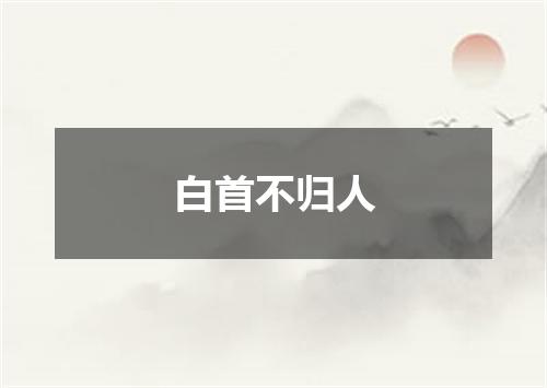 白首不归人