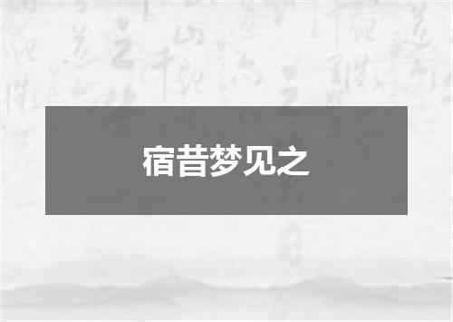宿昔梦见之