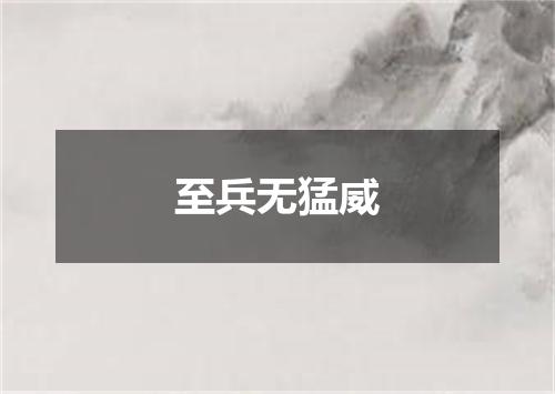 至兵无猛威