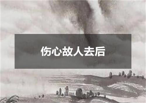伤心故人去后