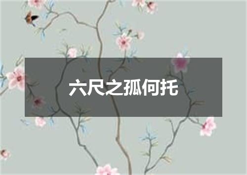 六尺之孤何托