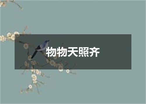 物物天照齐