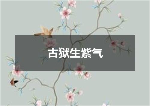 古狱生紫气